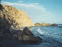 Wrack