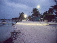 Caye Caulker1