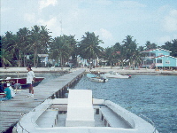 Caye Caulker2