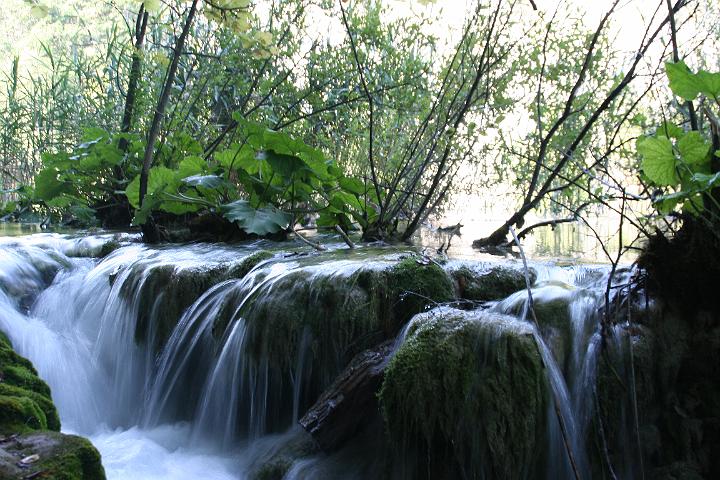 IMG_7144.JPG - An den Plitvicer Seen (Kroatien)