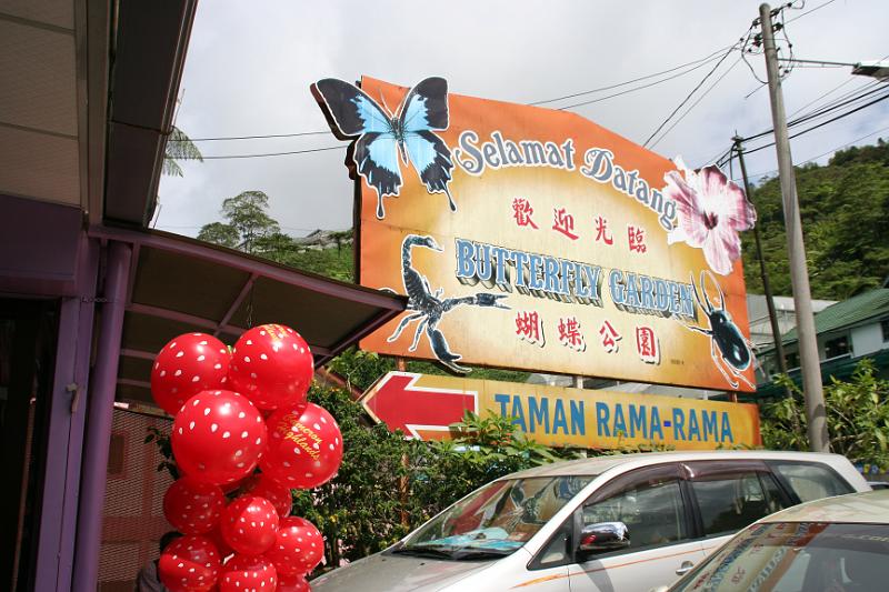 IMG_8416.JPG - Cameron Highlands - Schmetterlingsgarten