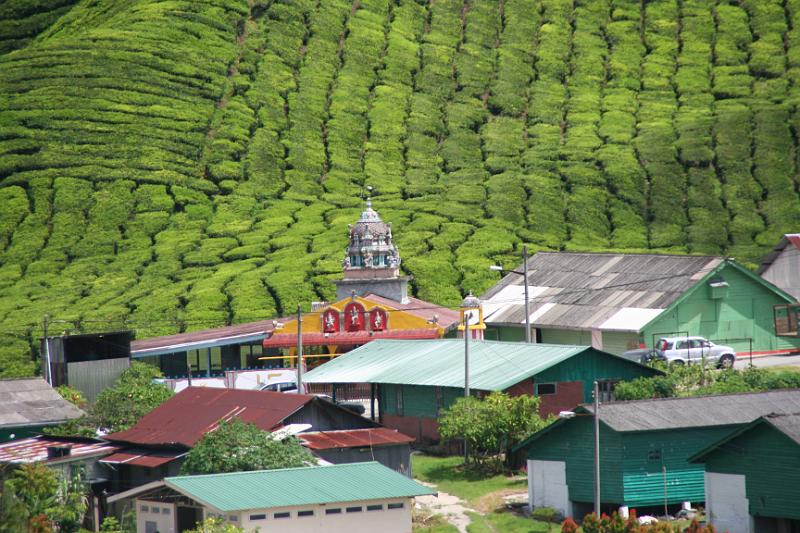 IMG_8490.JPG - Cameron Highlands - Teeplantage