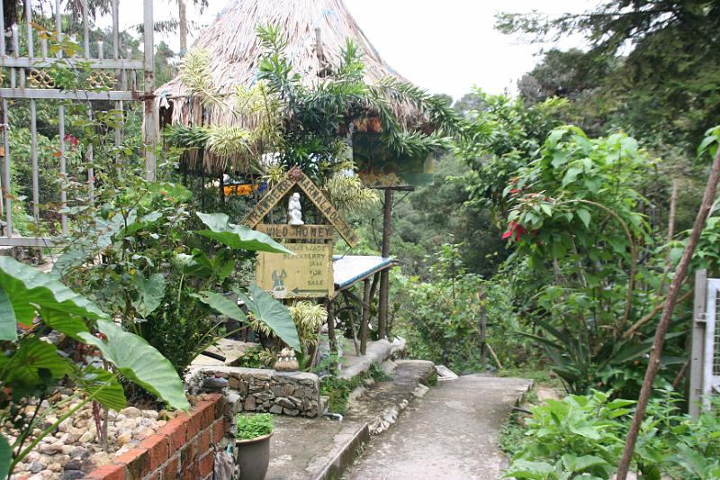 IMG_8550.JPG - Cameron Highlands