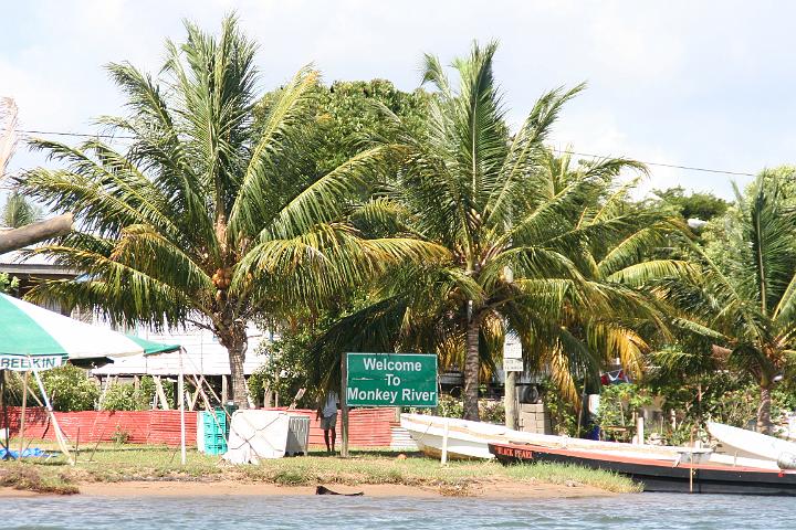 IMG_4531.JPG - Monkey River Tour - Belize