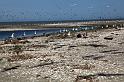 041-IMG_3641a