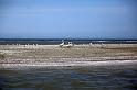 049-IMG_3802a