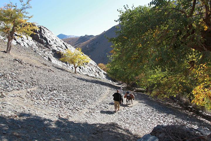 image063.jpg - Nuratau Gebirge